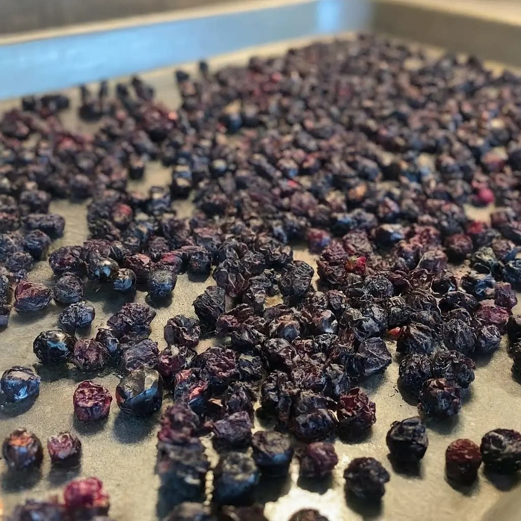 Drying Process