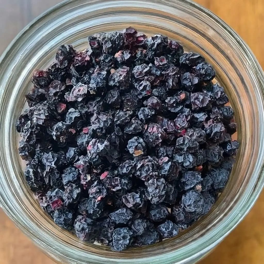 Storing Dried Elderberries