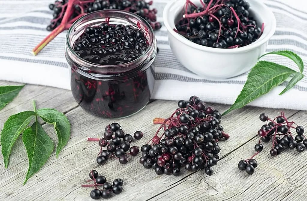 Benefits of Drying Elderberries at Home