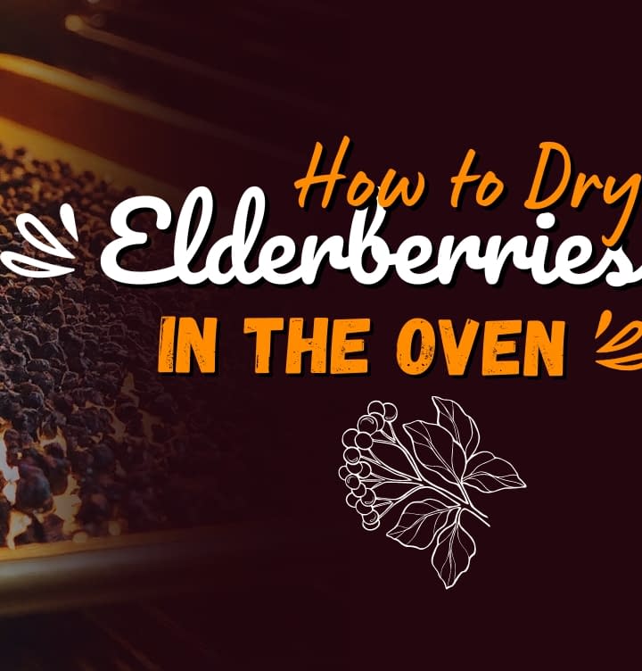 How to Dry Elderberries in the Oven