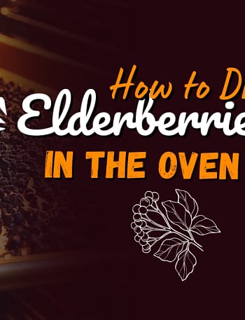 How to Dry Elderberries in the Oven