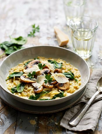 UuIn q9aTeGTTF zFGA4IQ